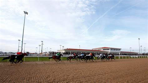 chelmsford horse racing results today|Chelmsford City Results Yesterday .